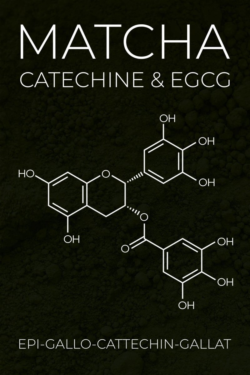 Sind Matcha Grüntee-Extrakte mit Catechinen / EGCG schädlich?