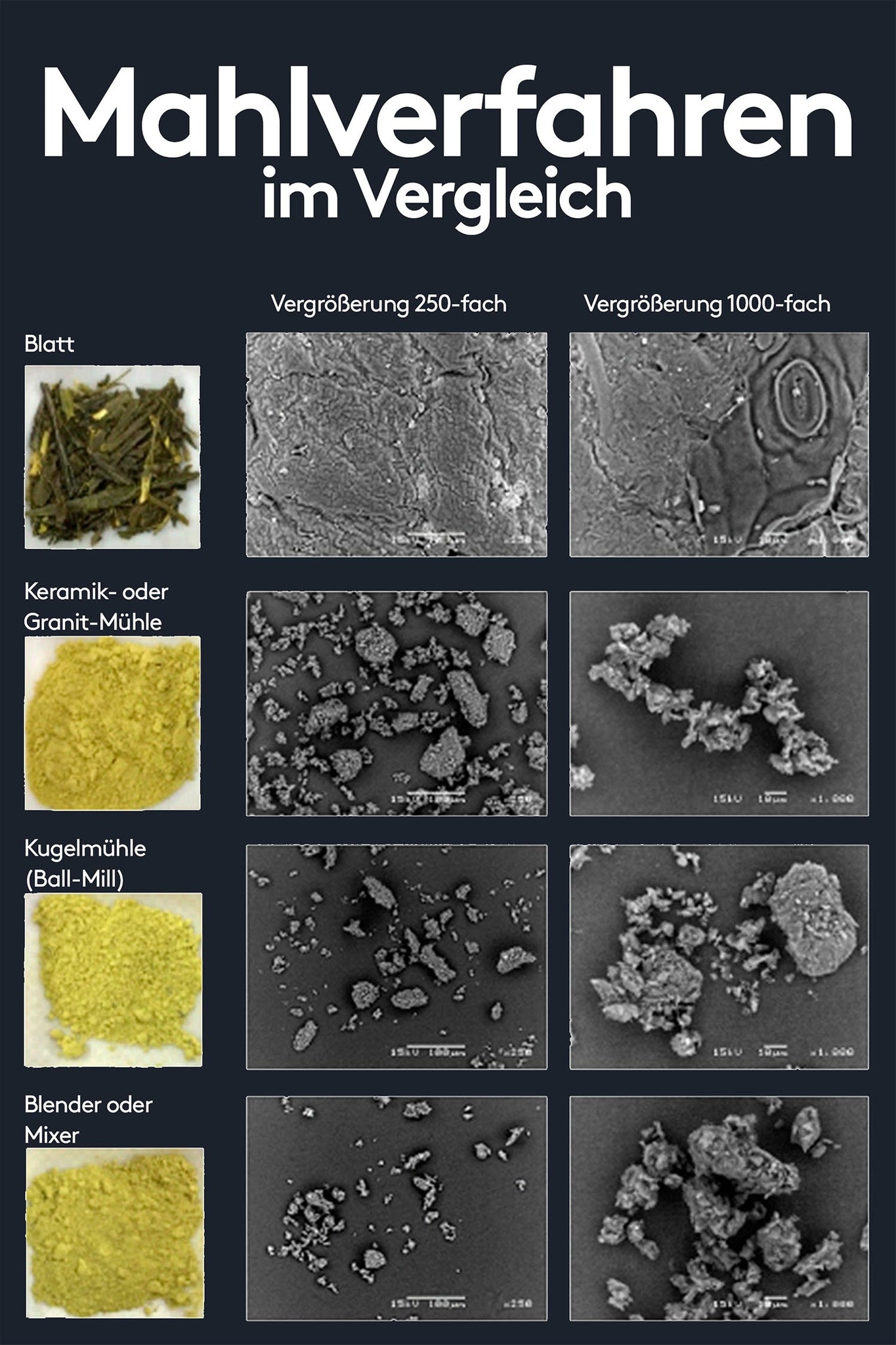 Vergleich der Matcha-Mahlverfahren unter dem Mikroskop: Blatttee, Keramik-/Granitmühle, Kugelmühle (Ball Mill) und Blender/Mixer bei 250- und 1000-facher Vergrößerung. Deutlich unterschiedliche Partikelgrößen und -strukturen.