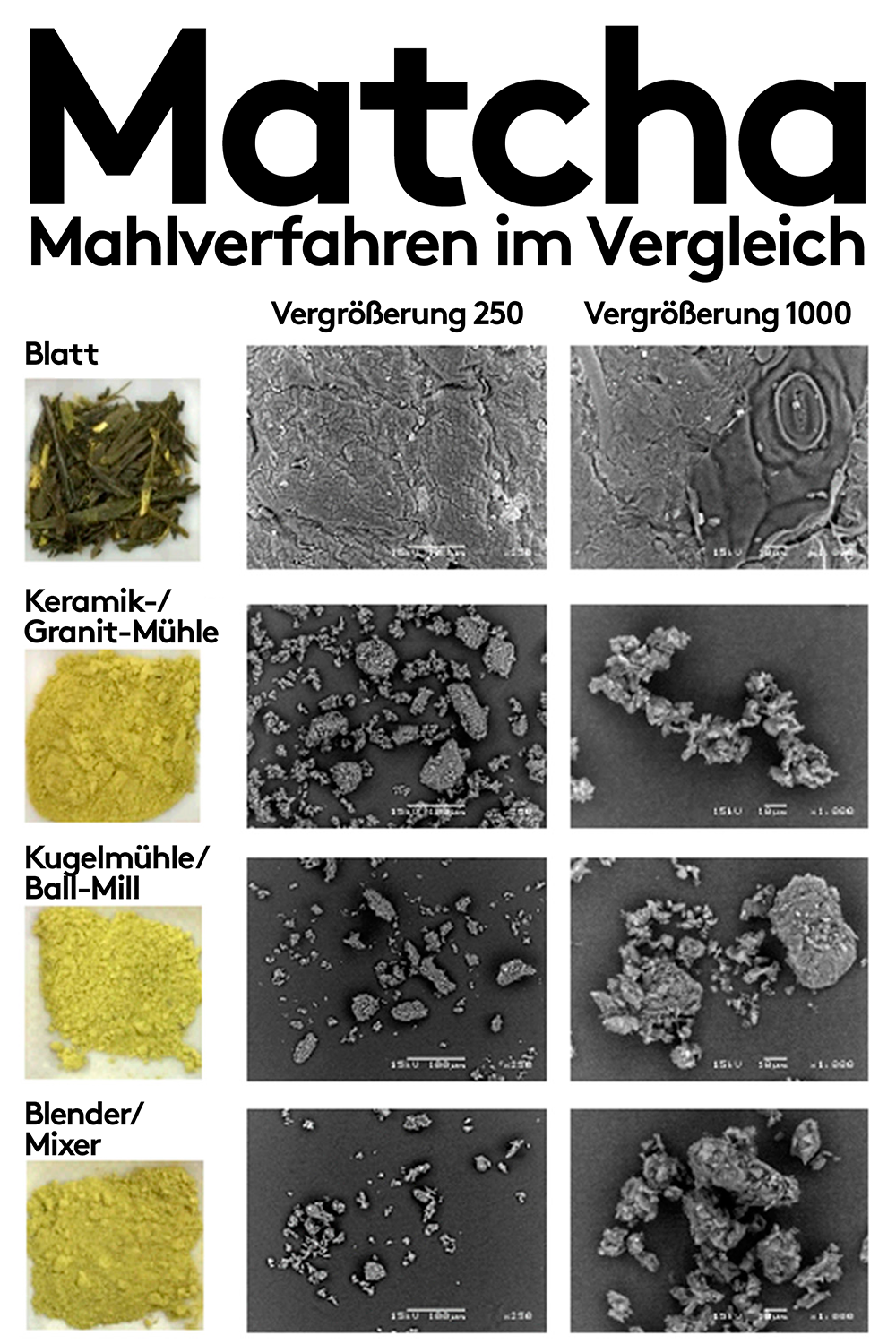 Vergleich der Matcha-Mahlverfahren unter dem Mikroskop: Blatttee, Keramik-/Granitmühle, Kugelmühle (Ball Mill) und Blender/Mixer bei 250- und 1000-facher Vergrößerung. Deutlich unterschiedliche Partikelgrößen und -strukturen.