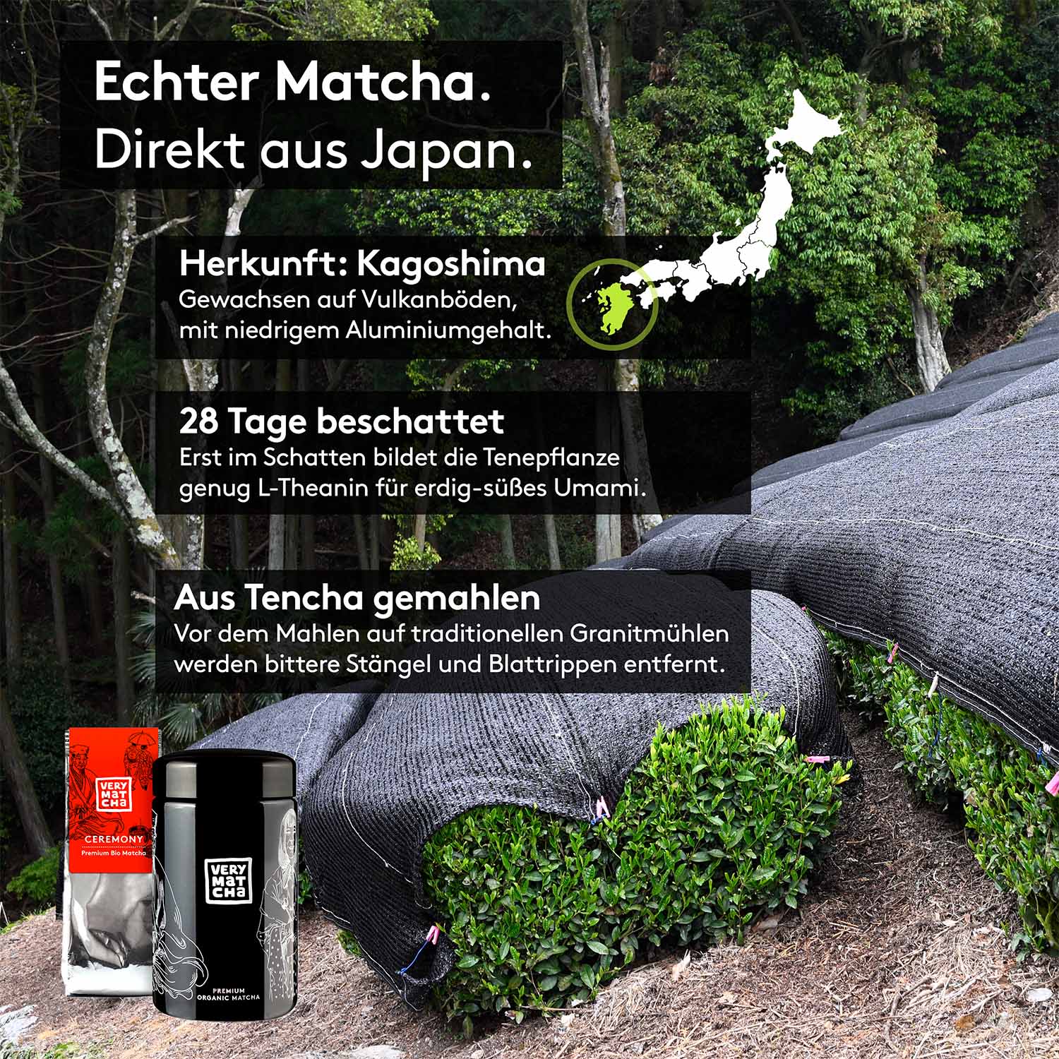 Very Matcha Ceremony vor Teefeld mit Beschattungsnetzen: Echter Matcha aus Japan: Bio Matcha aus Kagoshima, 28 Tage beschattet, aus Tencha gemahlen auf Granitmühlen.